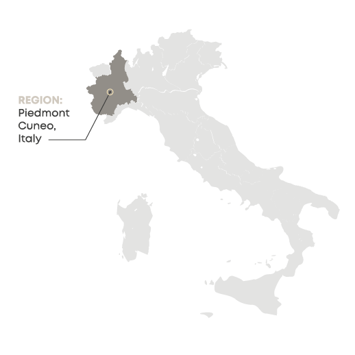 terre di bo origine italia barolo